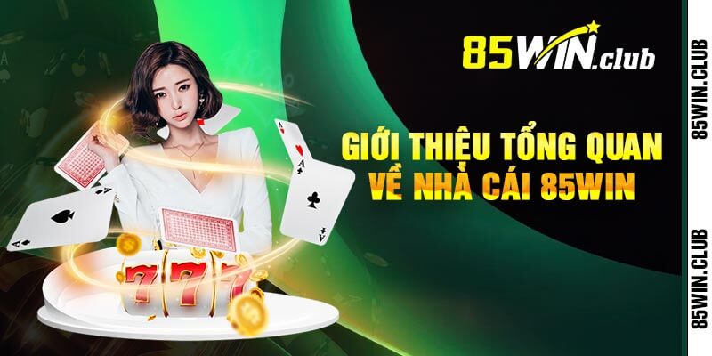 Giới Thiệu Tổng Quan Về Nhà Cái 85win